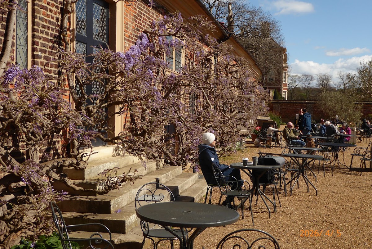 Orangery Café photo 1