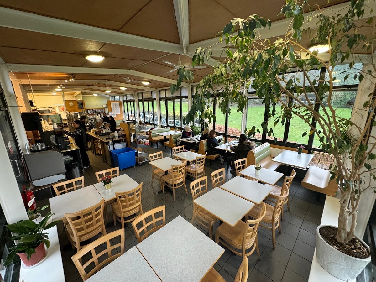 Golders Hill Park Cafe photo 1